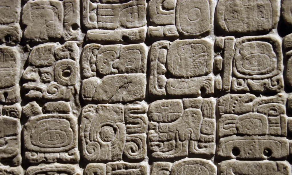 Archaeology and Anthropology