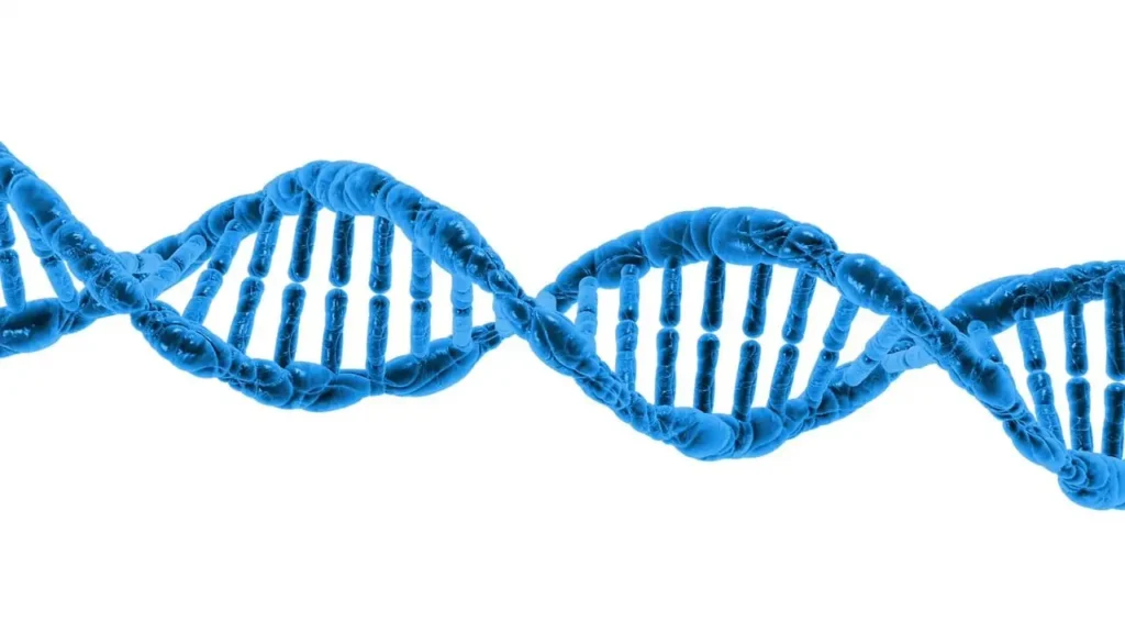 Oxford Biology Programs​