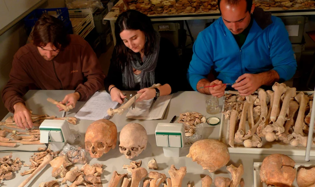 Archaeology and Anthropology
