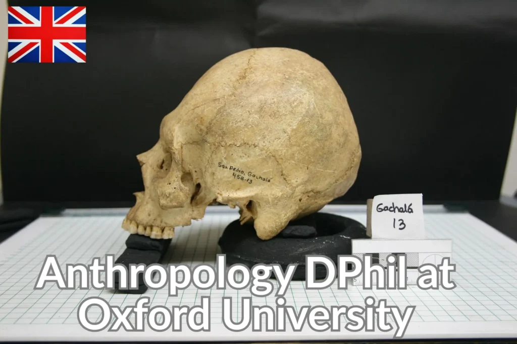 Anthropology DPhil at Oxford